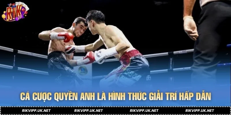 Cá cược quyền anh là hình thức giải trí hấp dẫn