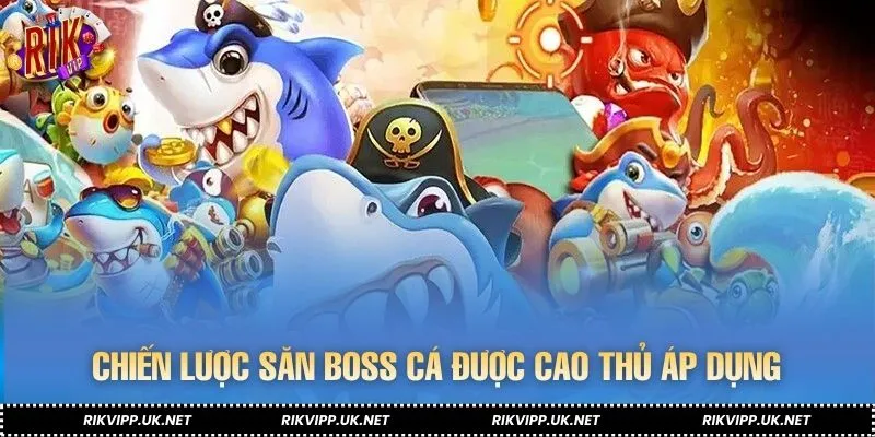 Chiến lược săn cá được cao thủ áp dụng thường xuyên