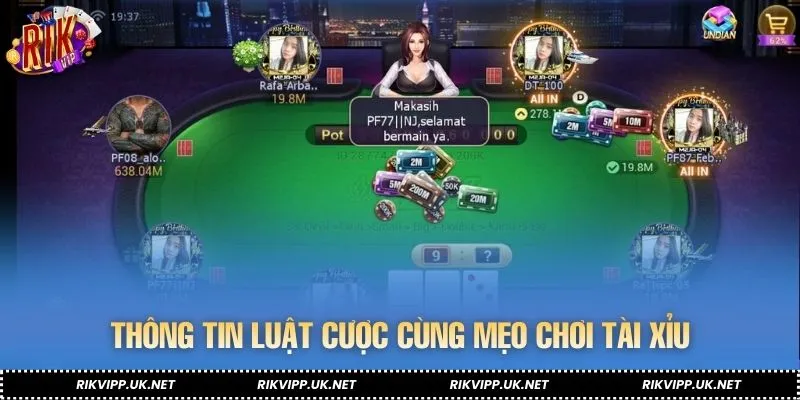 Thông tin luật cược cùng mẹo chơi tài xỉu