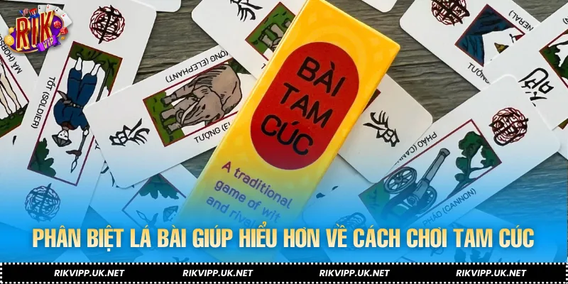 Phân biệt lá bài giúp hiểu hơn về cách chơi tam cúc