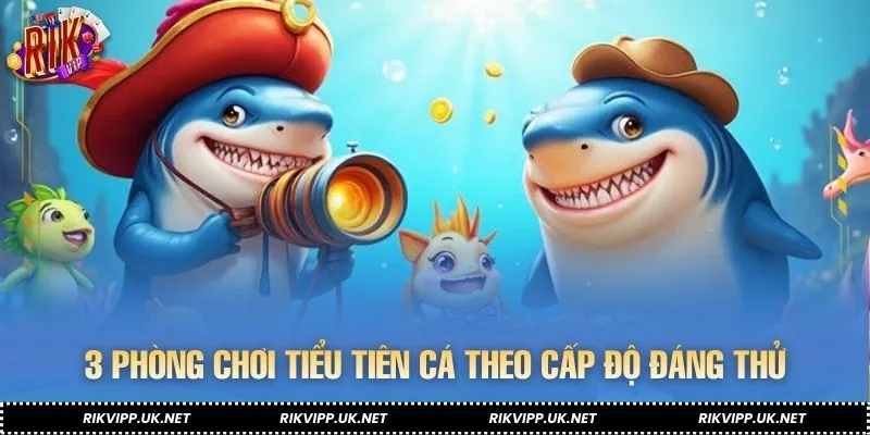 3 phòng chơi Tiểu Tiên Cá theo cấp độ đáng thử