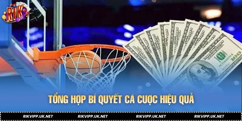 Tổng hợp bí quyết cá cược hiệu quả