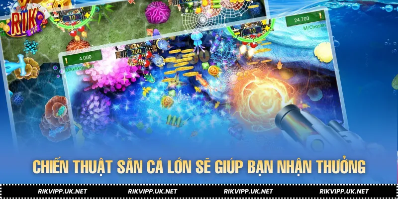 Chiến thuật săn cá lớn sẽ giúp bạn nhận thưởng