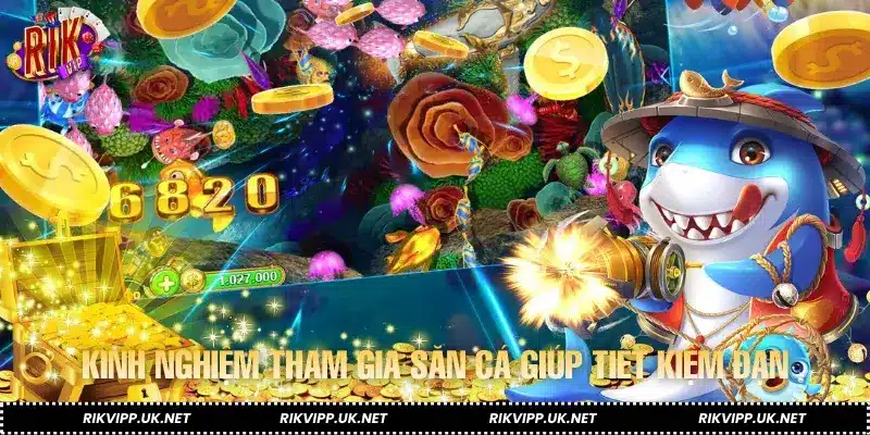 Kinh nghiệm tham gia săn cá giúp tiết kiệm đạn